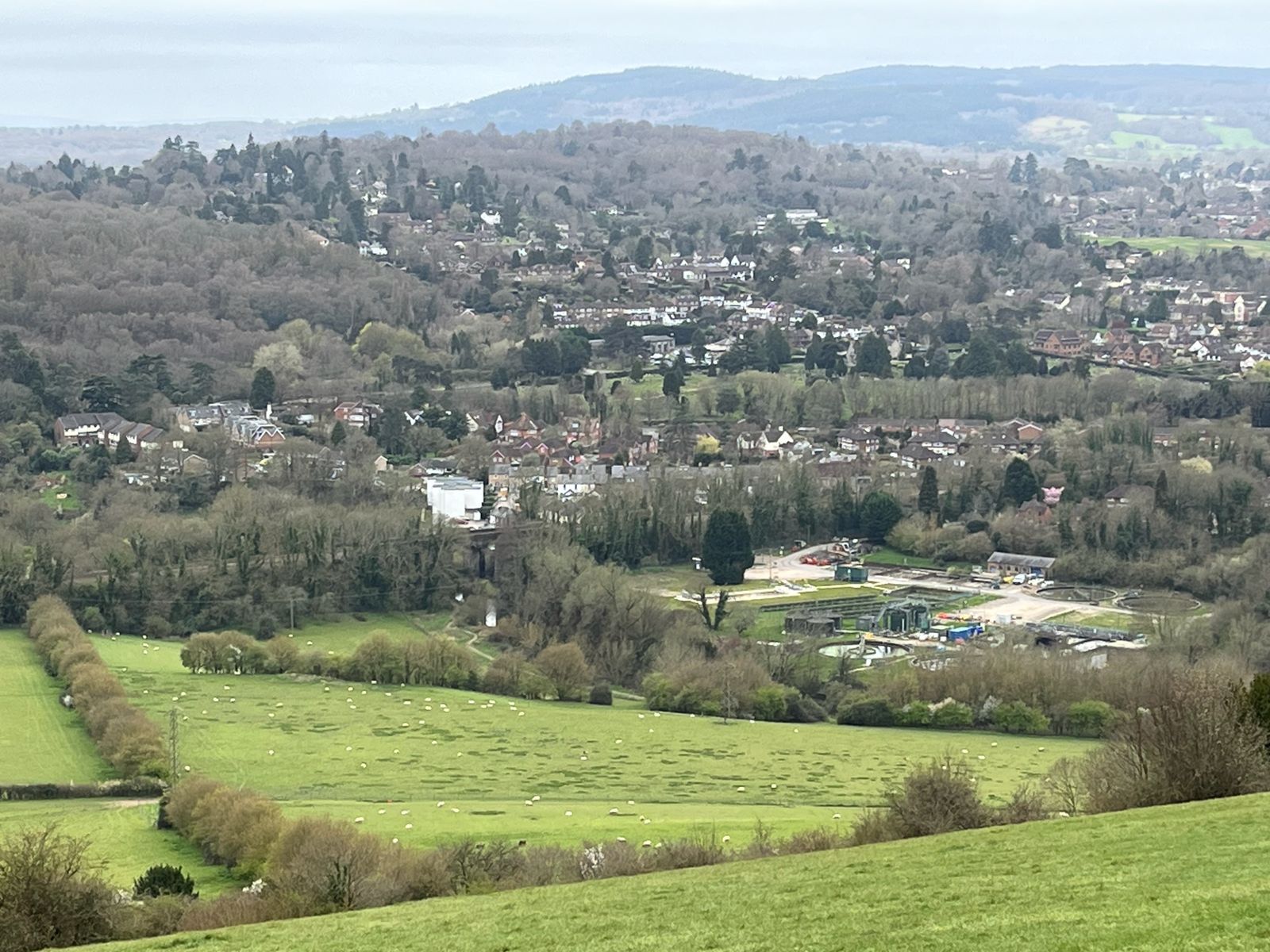 View from Box Hill